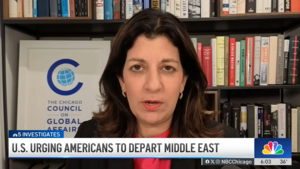 Leslie Vinjamuri speaks via video with NBC 5 Chicago