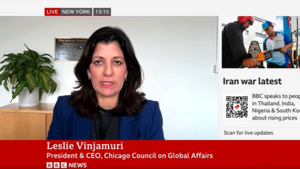 Leslie Vinjamuri speaks with BBC News via video
