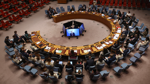 UN Security Council