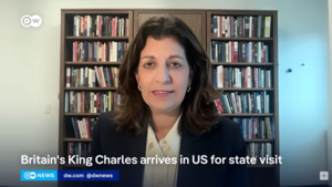 Leslie Vinjamuri appears on screen via video call