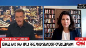 Leslie Vinjamuri speaks with a CNN journalist