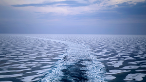A path in the ice is left in the wake of the Finnish icebreaker MSV Nordica as it travels through the Northwest Passage through the Franklin Strait in the Canadian Arctic Archipelago on July 22, 2017.