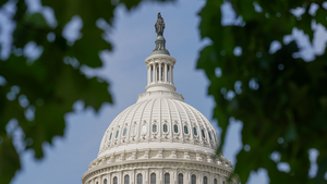 The top of the US capitol photographed from in between two tree branches on September 2, 2026.