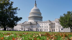 Fallen autumn leaves are seen on the lawn in front of the US Capitol
