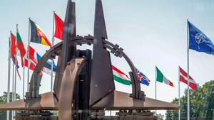 The Midterms That Could Make or Break NATO