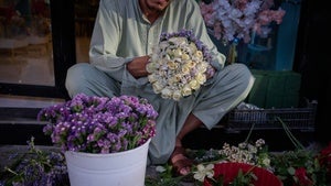 A flower seller arranges bouquets ahead of celebrations marking the fifth anniversary of the U.S. withdrawal and the start of Taliban rule in Kabul, Afghanistan, Friday, Aug. 14, 2026. 