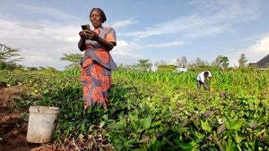 A woman types on a cell phone in a field. 
