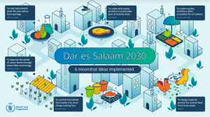 Moonshot activities in Dar es Salaam
